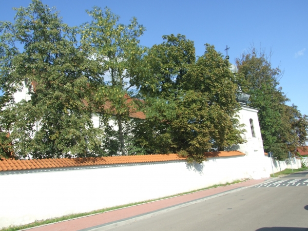 Zdjęcie z Polski - Smardzewice