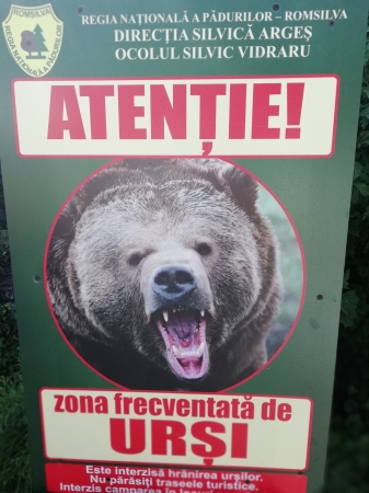 Zdjęcie z Rumunii - Poenari