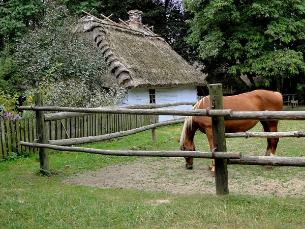Zdjęcie z Polski - Muzeum Wsi Lubelskiej.