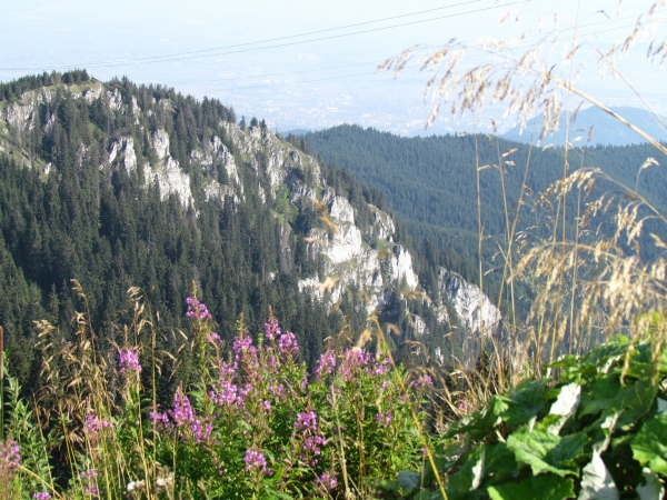 Zdjęcie z Rumunii - Poiana Brasov