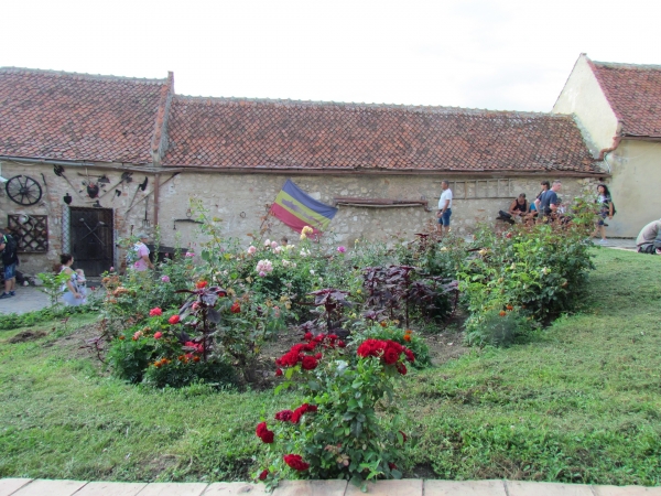 Zdjęcie z Rumunii - Rasnov