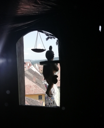 Zdjęcie z Rumunii - Sighișoara