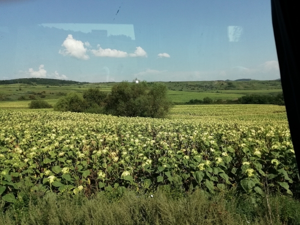 Zdjęcie z Rumunii - Transylwania