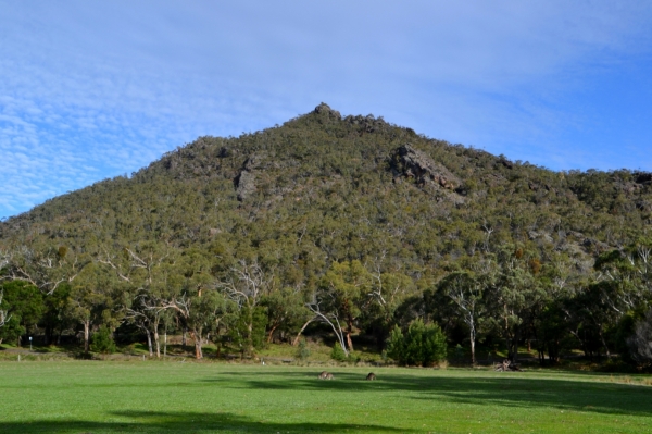 Zdjęcie z Australii - Halls Gap
