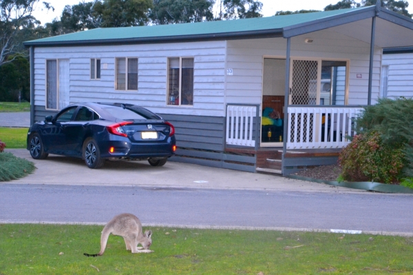 Zdjęcie z Australii - Nasz domek w Parkgate Resort w Halls Gap