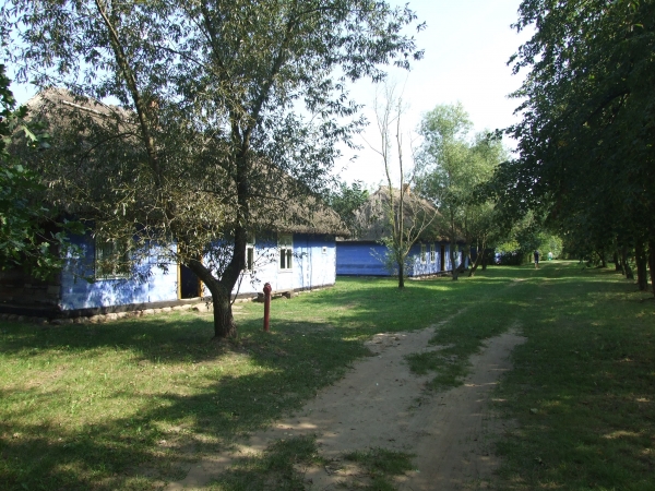 Zdjęcie z Polski - sielankowo