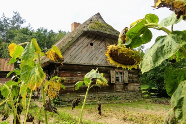 Zdjęcie z Polski - skansenowe klimaty...