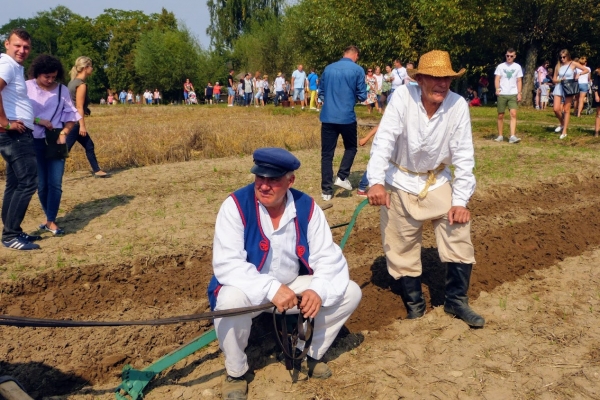 Zdjęcie z Polski - ...