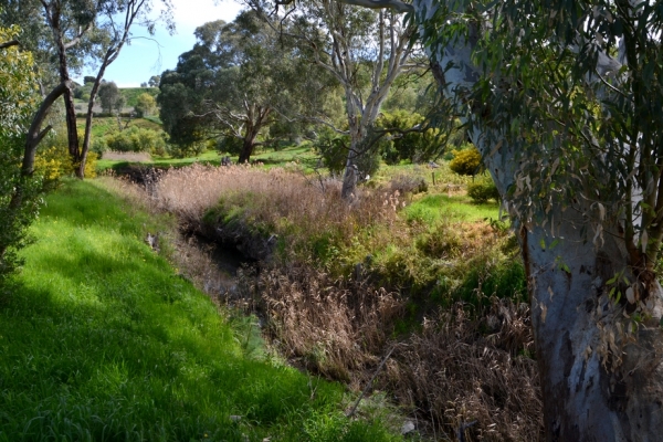 Zdjęcie z Australii - Szlak wzdluz strumienia Christies Creek