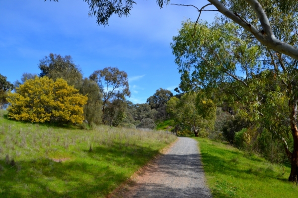 Zdjęcie z Australii - Szlak wzdluz strumienia Christies Creek
