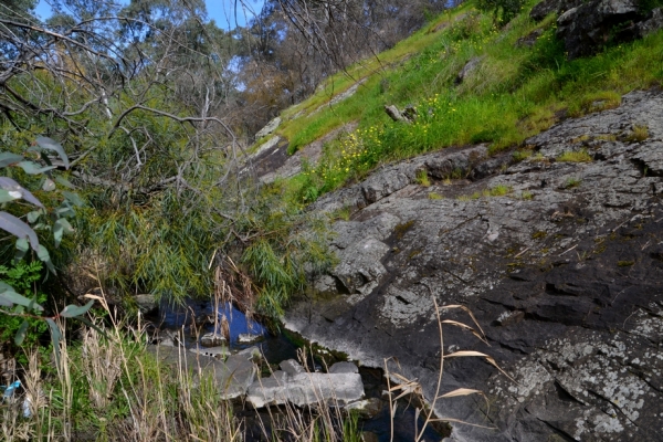 Zdjęcie z Australii - Nad strumieniem Christies Creek