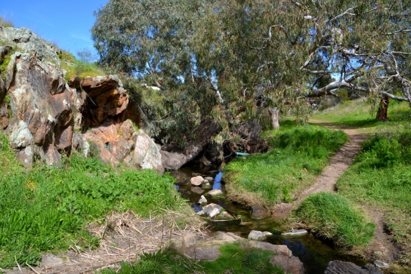 Zdjęcie z Australii - Szlak wzdluz strumienia Christies Creek