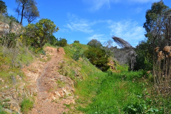Zdjęcie z Australii - Szlak wzdluz strumienia Christies Creek
