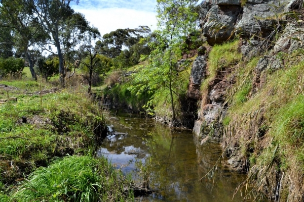 Zdjęcie z Australii - Strumien Christies Creek