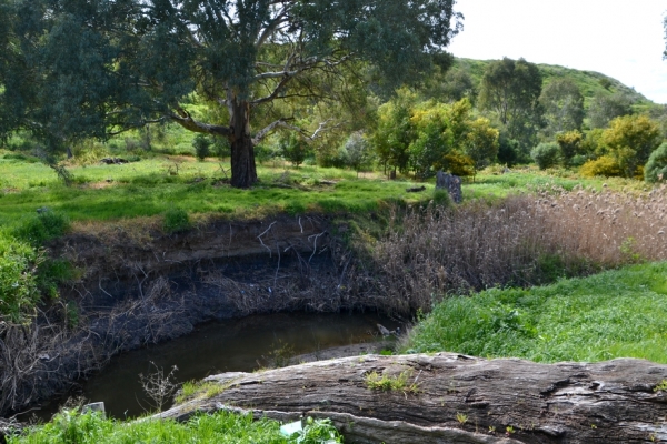 Zdjęcie z Australii - Strumien Christies Creek