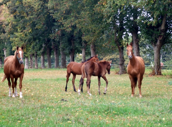 Zdjęcie z Francji - rodzinka