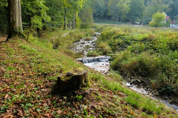 Zdjęcie z Polski - Bystrzyca Dusznicka wciąż szumi i pluska....