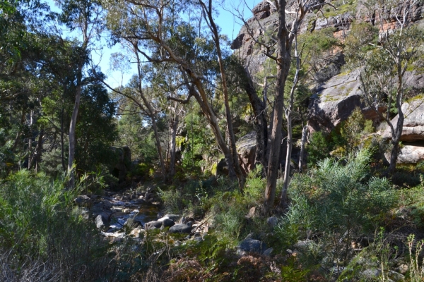 Zdjęcie z Australii - Na szlaku Chatauqua Peak Circuit