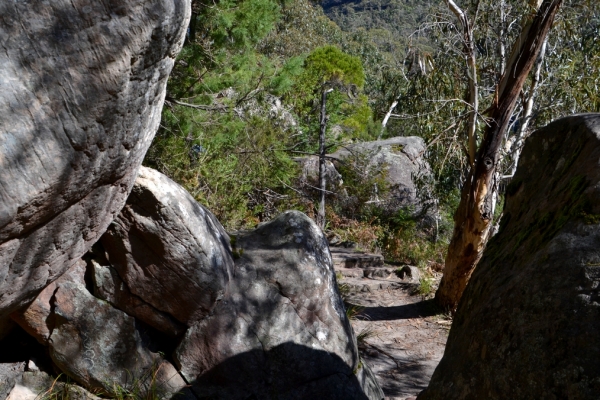 Zdjęcie z Australii - Na szlaku Chatauqua Peak Circuit