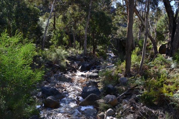 Zdjęcie z Australii - Strumien Stony Creek