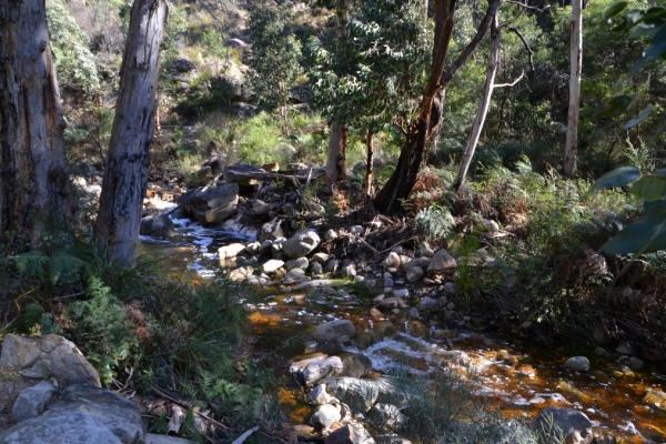 Zdjęcie z Australii - Strumien Stony Creek