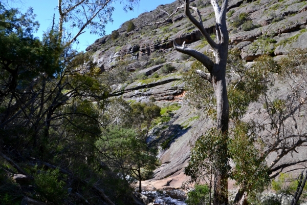 Zdjęcie z Australii - Skala zwana Elephants Hide - Kryjowka Slonia