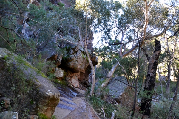Zdjęcie z Australii - Na szlaku Chatauqua Peak Circuit