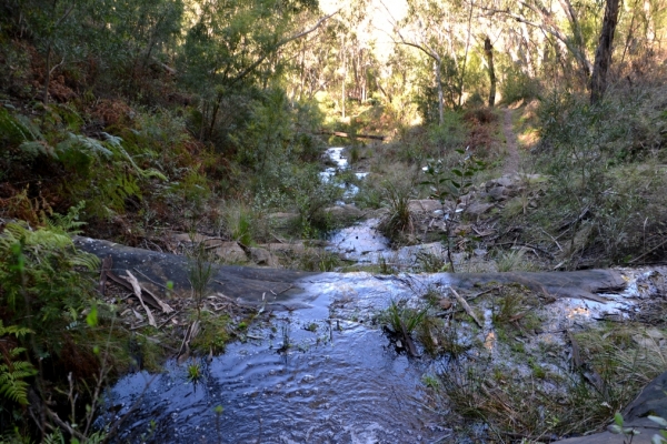 Zdjęcie z Australii - Na szlaku Chatauqua Peak Circuit