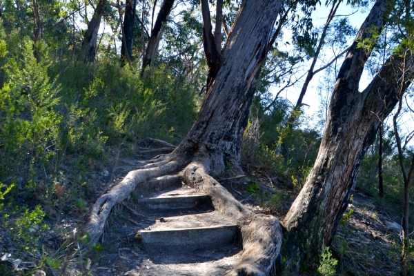 Zdjęcie z Australii - Na szlaku Chatauqua Peak Circuit