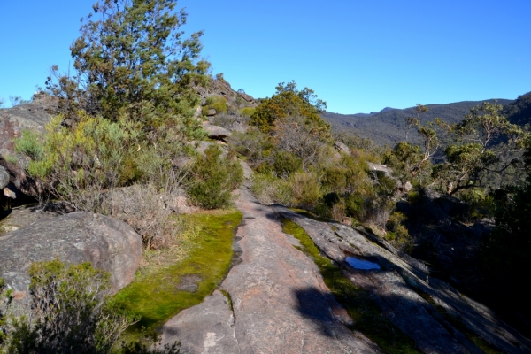 Zdjęcie z Australii - Na szczycie Chatauqua Peak
