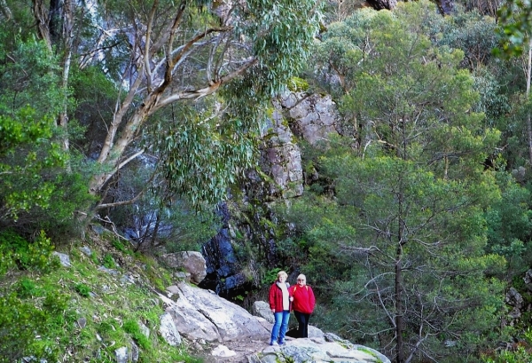 Zdjęcie z Australii - Pod wodospadem Clematis Falls