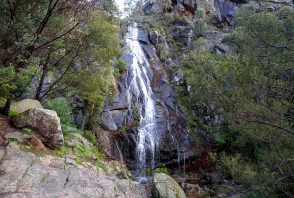 Zdjęcie z Australii - Wodospad Clematis Falls