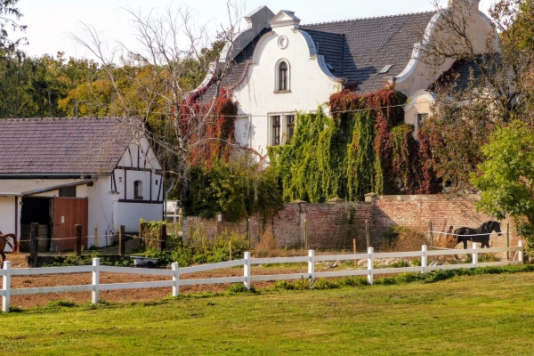 Zdjęcie z Polski - tuż obok pałacu- mieści się stadnina