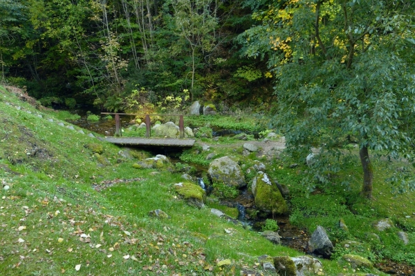 Zdjęcie z Polski - Śnieżnicki Park Krajobrazowy