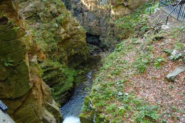 Zdjęcie z Polski - nad Wilczką