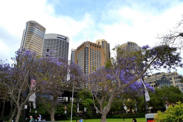 Zdjęcie z Australii - Sydney