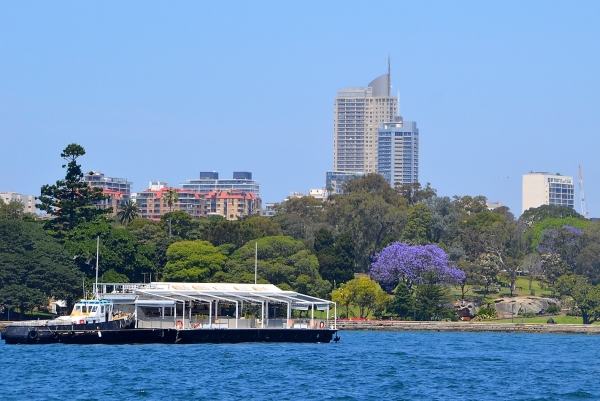 Zdjęcie z Australii - Plyniemy taksowką wodną