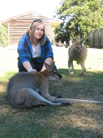 Zdjęcie z Australii - 