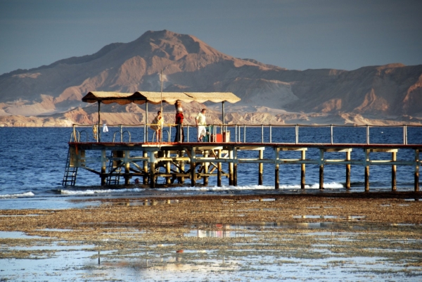 Zdjecie - Egipt - Sharm El Sheikh