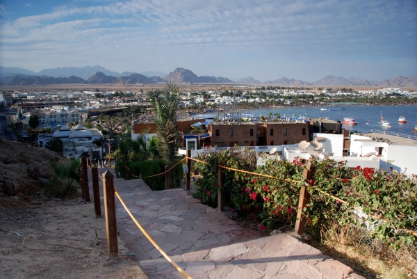 Zdjęcie z Egiptu - Sharm El Sheikh