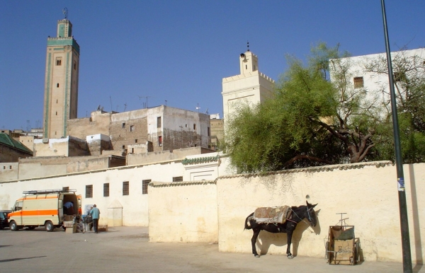 Zdjęcie z Maroka - FEZ