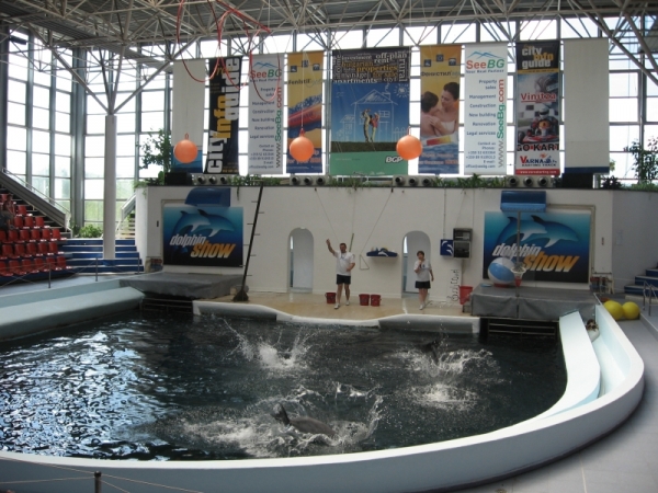 Zdjęcie z Bułgarii - Warna-delfinarium