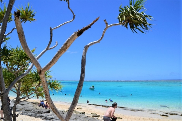 Zdjęcie z Vanuatu - 