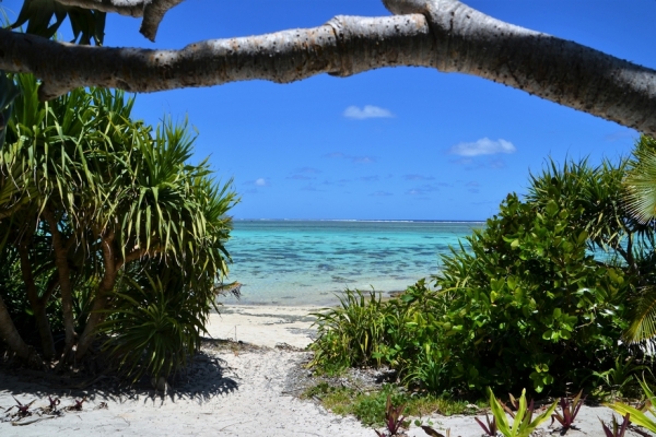 Zdjęcie z Vanuatu - 