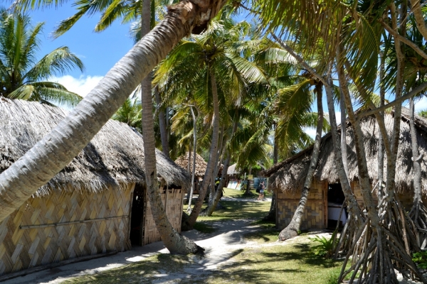 Zdjęcie z Vanuatu - Na tylach bazarku