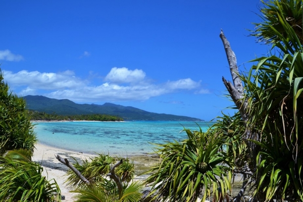 Zdjęcie z Vanuatu - 