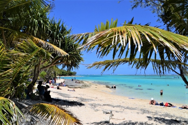 Zdjęcie z Vanuatu - 