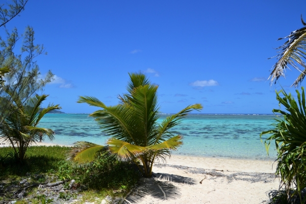 Zdjęcie z Vanuatu - 