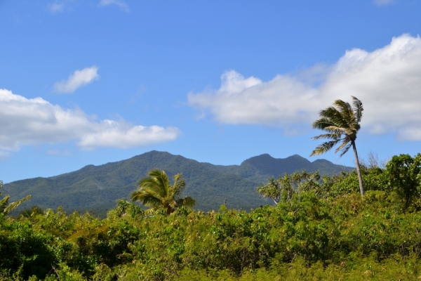 Zdjęcie z Vanuatu - 