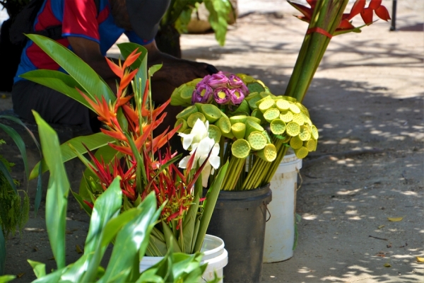 Zdjęcie z Vanuatu - Targ kwiatowy